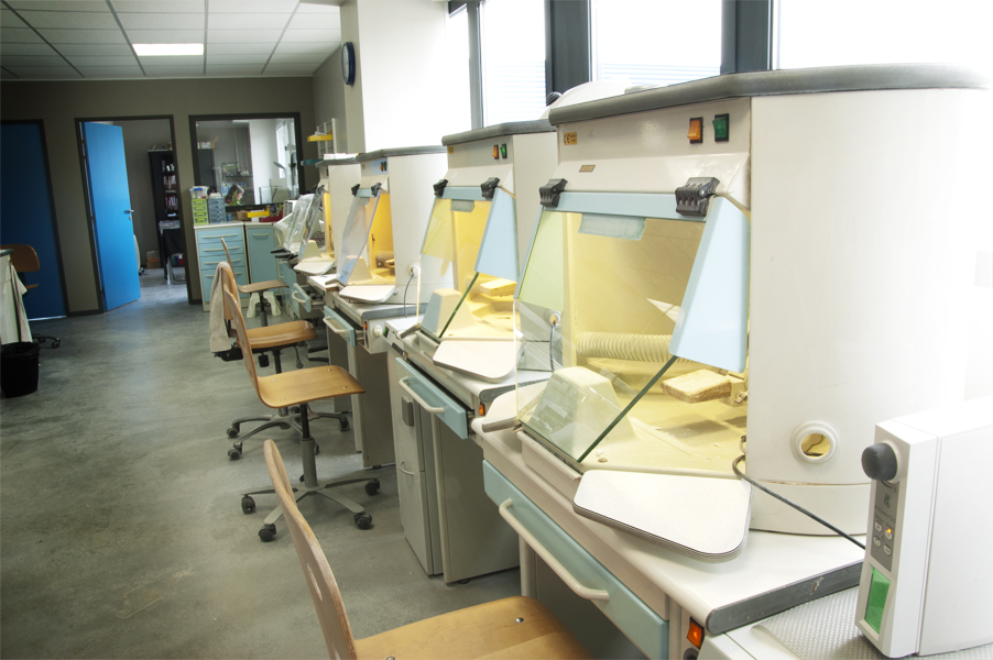 Laboratoire Orthésie - boxs